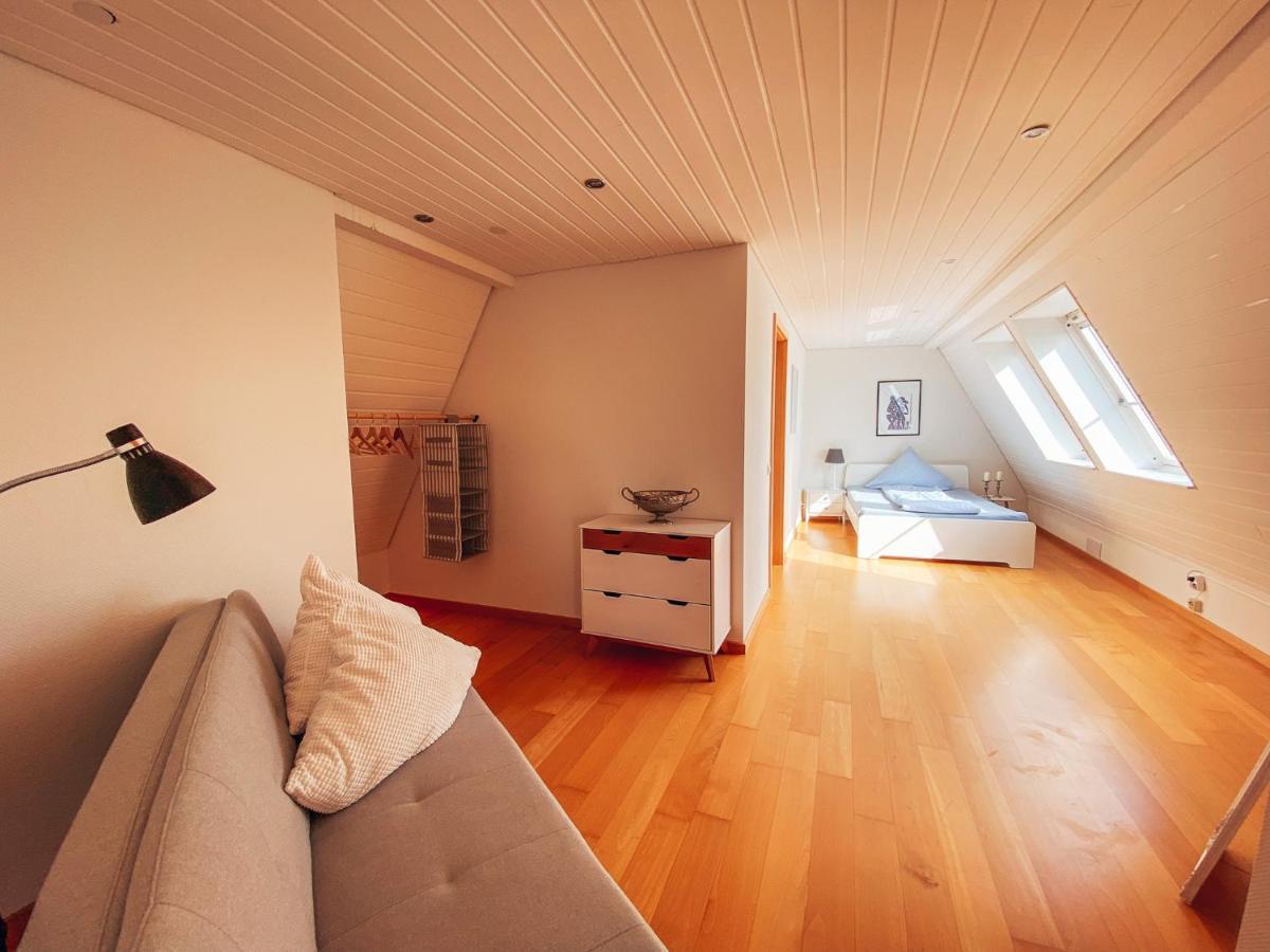 Rheinloft 3 - Grosse Giebelwohnung Mit Dachterrassen An Der Rheinpromenade Эммерих Экстерьер фото